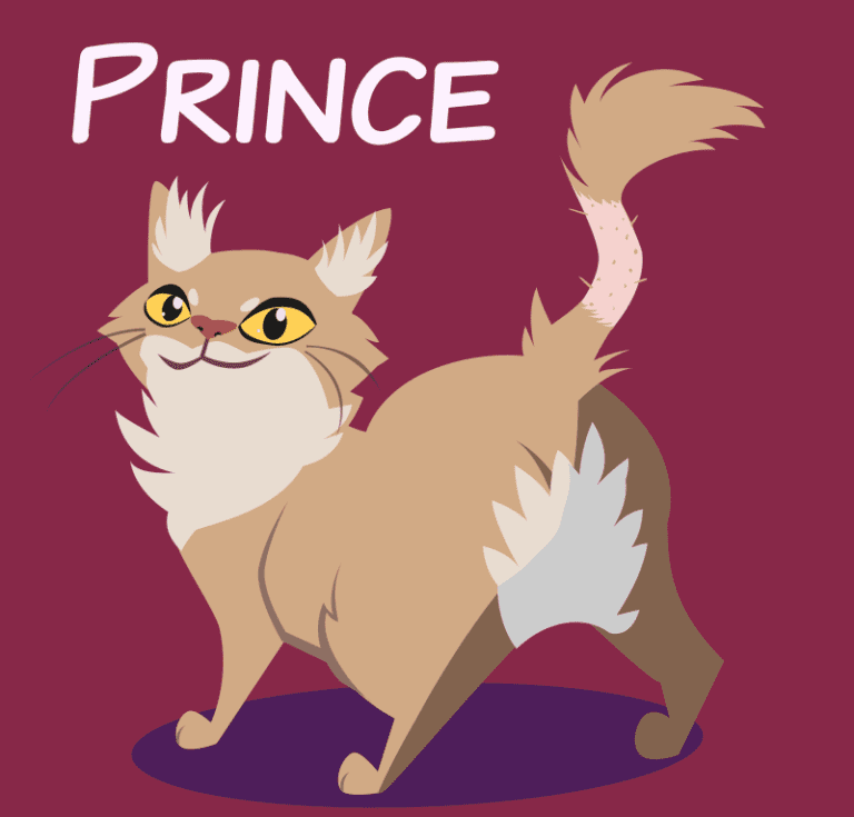 Prince