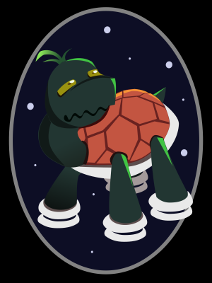 Tortoise